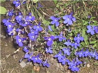 eb8f4902-Picture 029.jpg